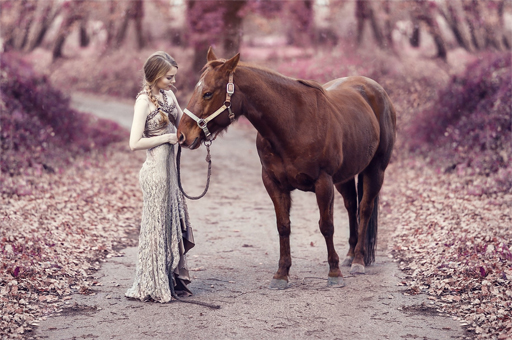 Quebra-cabeça de cavalos