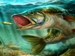 Simulador de Pesca Restante